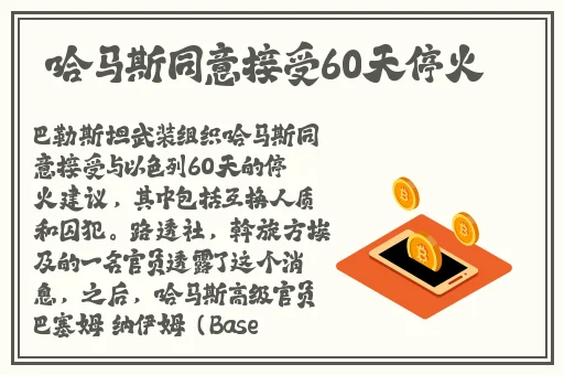 欧美vpswindows极品